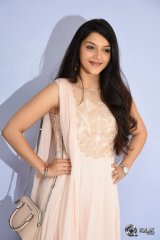 Mehreen at Krishna Gadi Veera Prema Gaadha Movie Thanks Meet